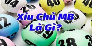 Xỉu Chủ Miền Bắc Là Gì? Kinh Nghiệm Hiệu Quả Năm 2024